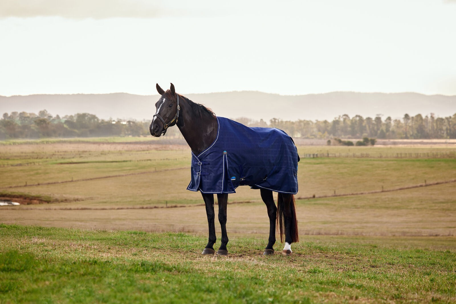 Picture of WEATHERBEETA COMFITEC PRELIM 220G HORSE TURNOUT RUG, 1200D, STANDARD NECK