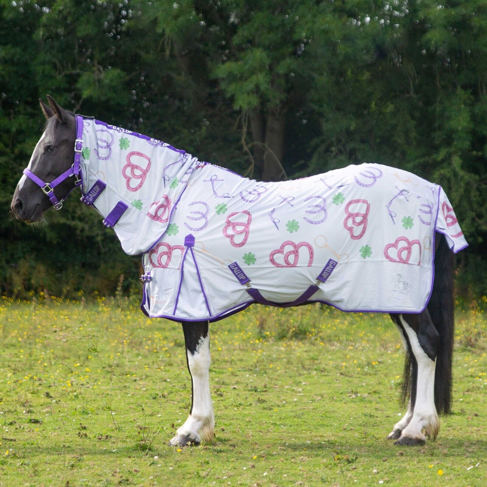 Picture of Gallop Trojan "Bits of Luck" Fly Rug, Combo Full Neck Fly Horse/Pony Rug
