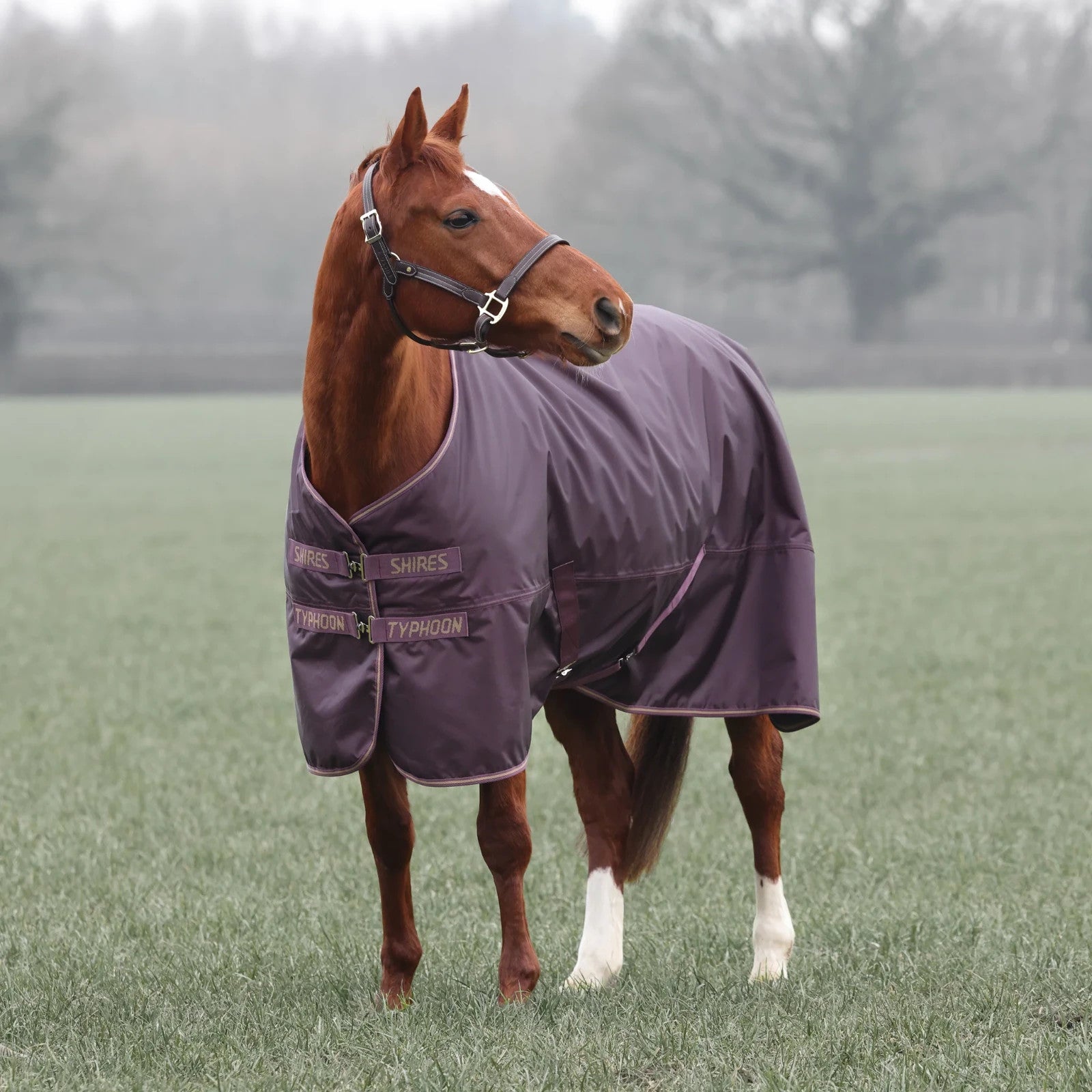 Picture of Shires Typhoon 100G Std Neck Lightweight Horse/Pony Turnout Rug, Black