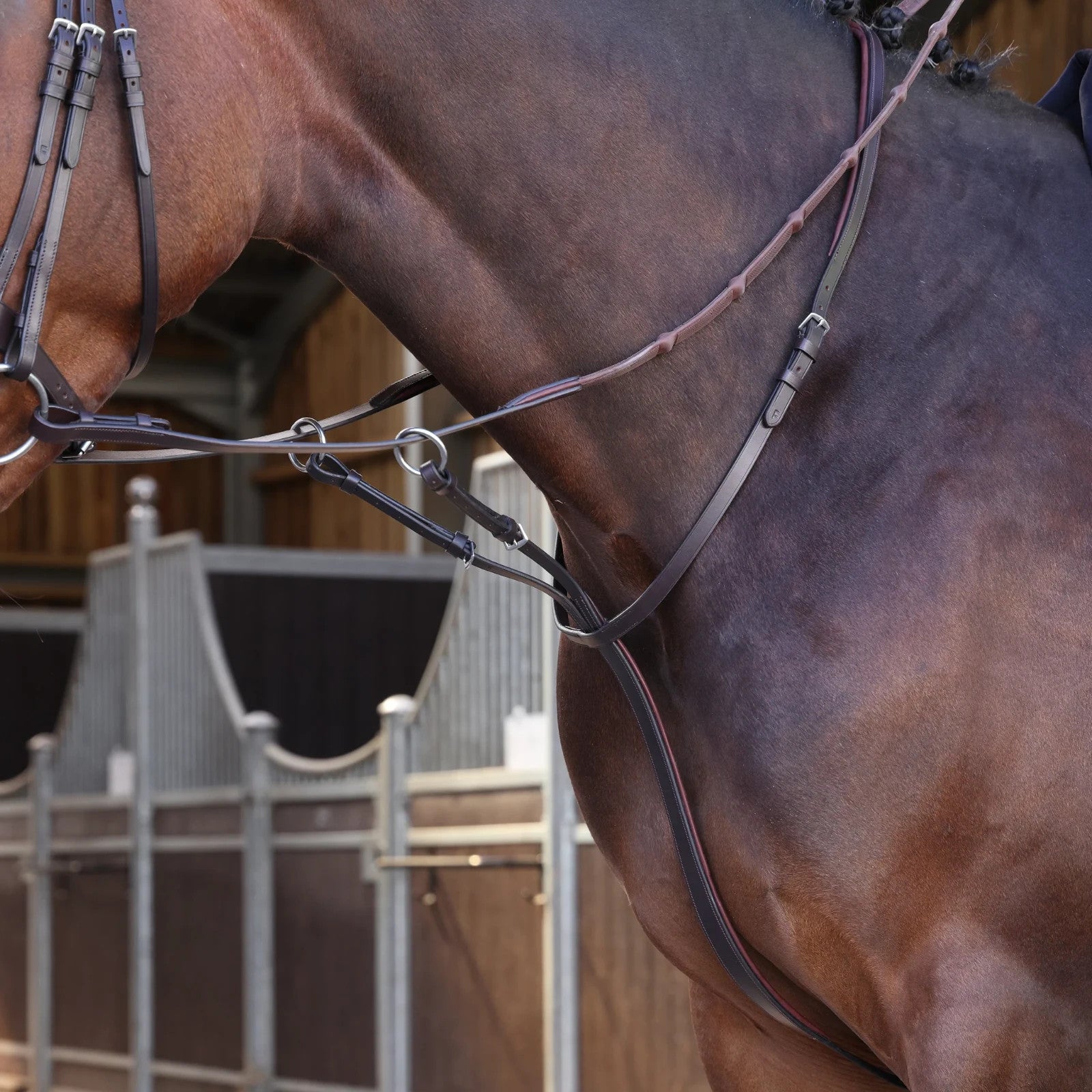 Picture of ShiresVelociti LUSSO Elite Running Martingale, Black / Havana, 4 Sizes