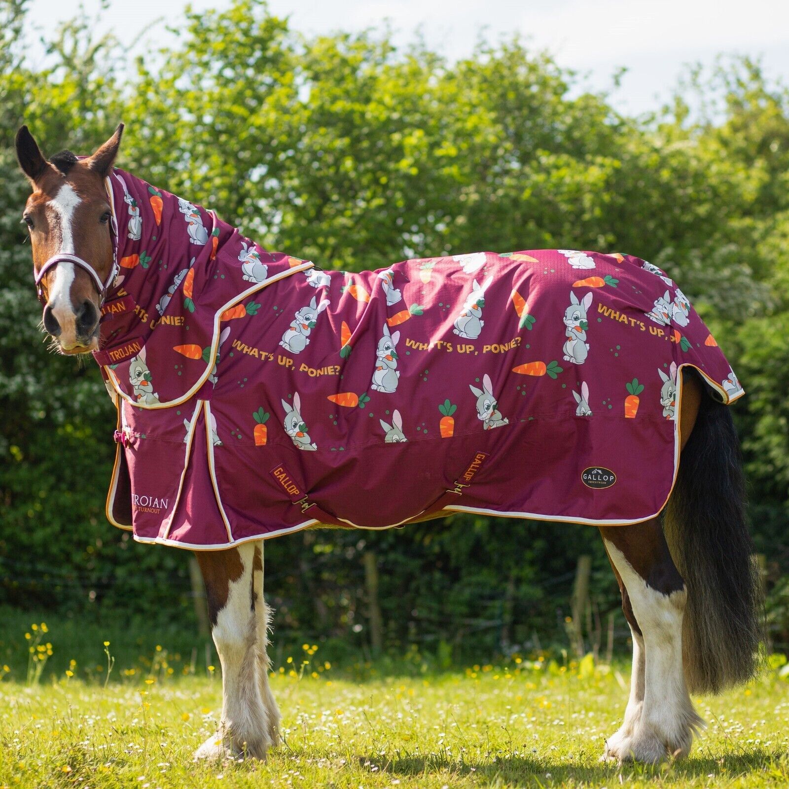 Picture of Gallop Trojan Bunnies and Carrots 50g Dual Horse Rug & 5-Point Neck Turnout Set