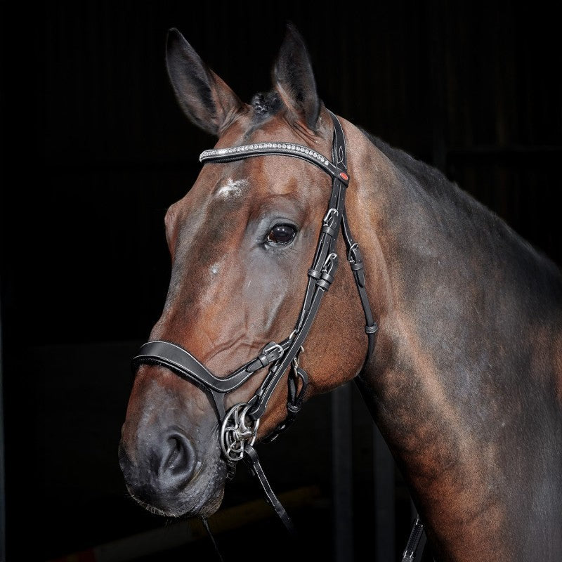 Picture of Whitaker Chicago Anatomic Breathable Snaffle Bridle with Reins 2 Colours 3 Sizes