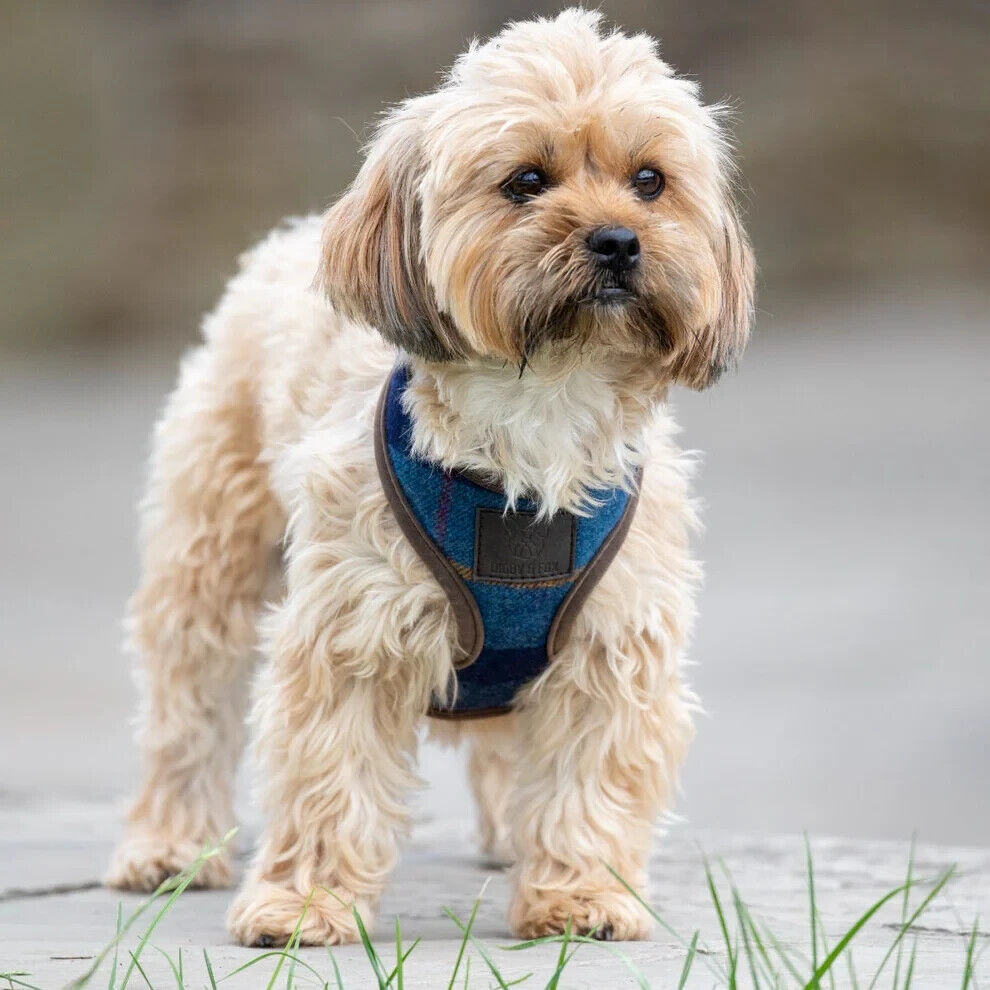 Picture of Digby & Fox Tweed Dog Harness, 5 Sizes, 2 Colours