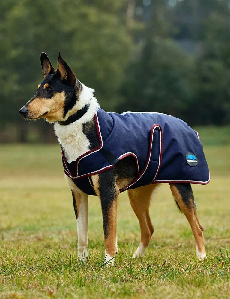 Picture of Weatherbeeta Comfitec Premier Deluxe Waterproof Dog Coat, 2 Colours, 11 Sizes.