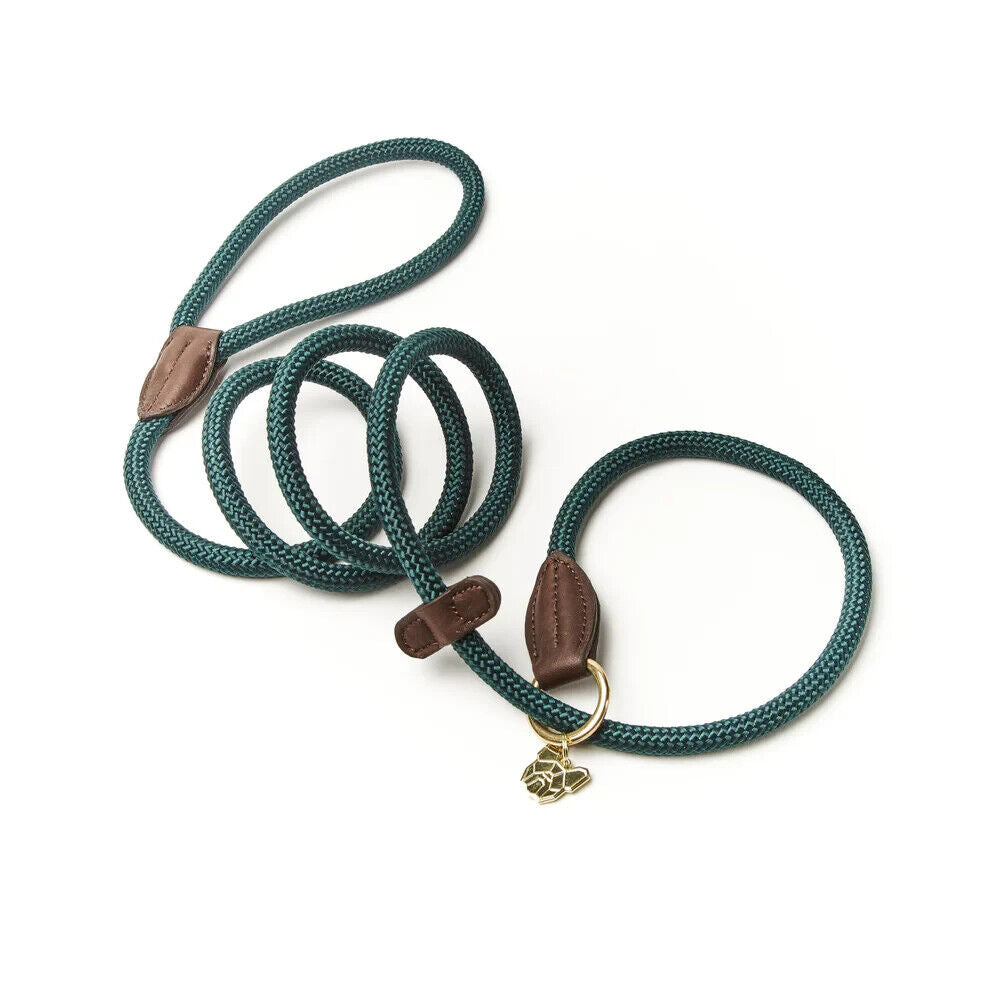 Picture of Digby and Fox Fine Rope Slip Dog Lead, 6  Colours