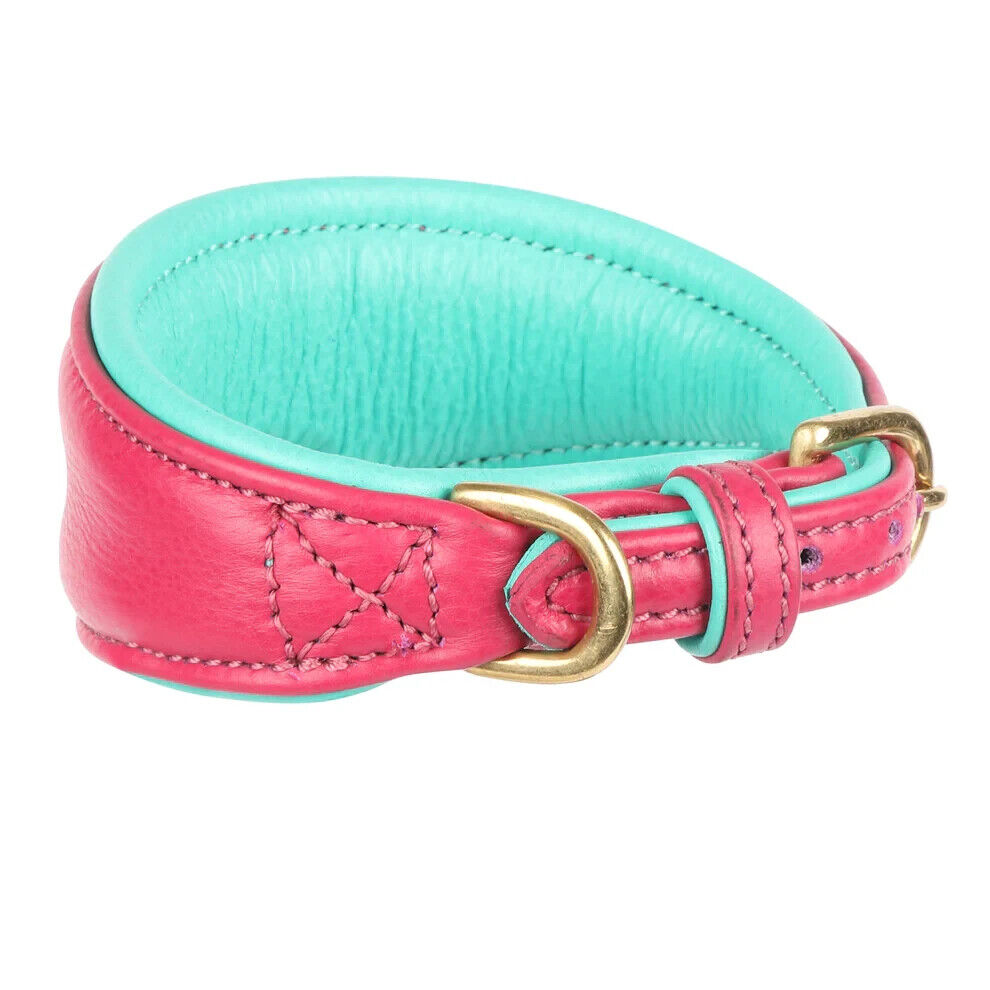 Picture of Shires Digby & Fox Padded Greyhound Leather Dog Collar, 4 Sizes, 6 Colours