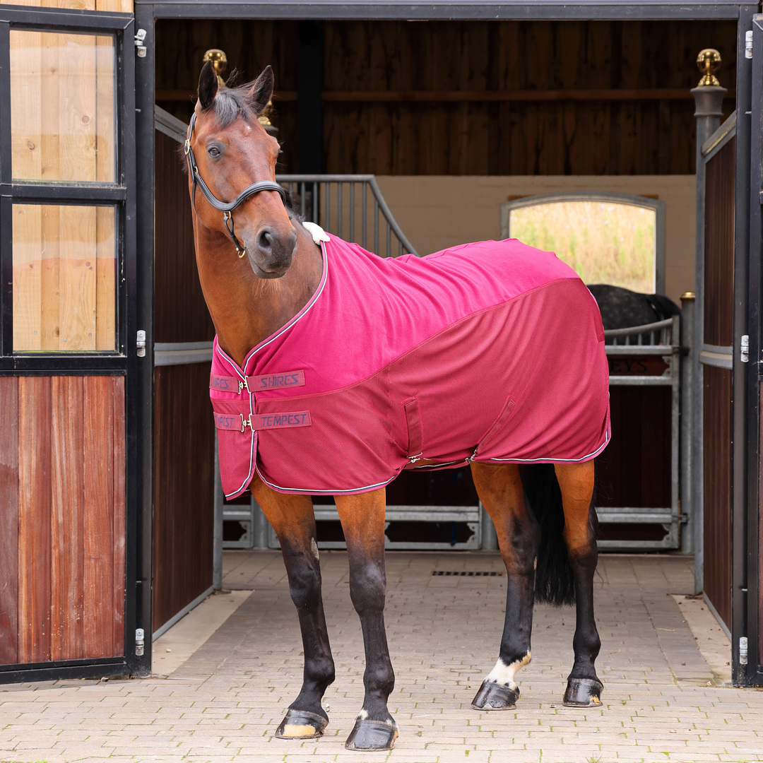 Picture of Shires Tempest Original Fleece Mesh Cooler / Travel Rug, 4 Colours,  4'6" - 7'3"