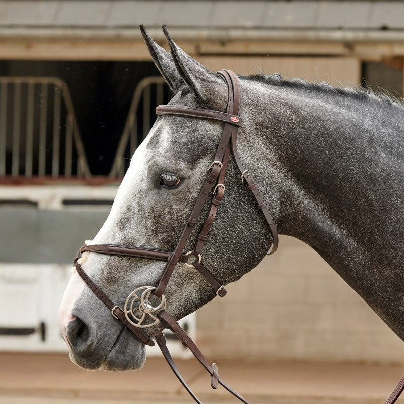 Picture of Whitaker Ready to Ride Mexican / Grackle Bridle , 2 Colours, 4 Sizes
