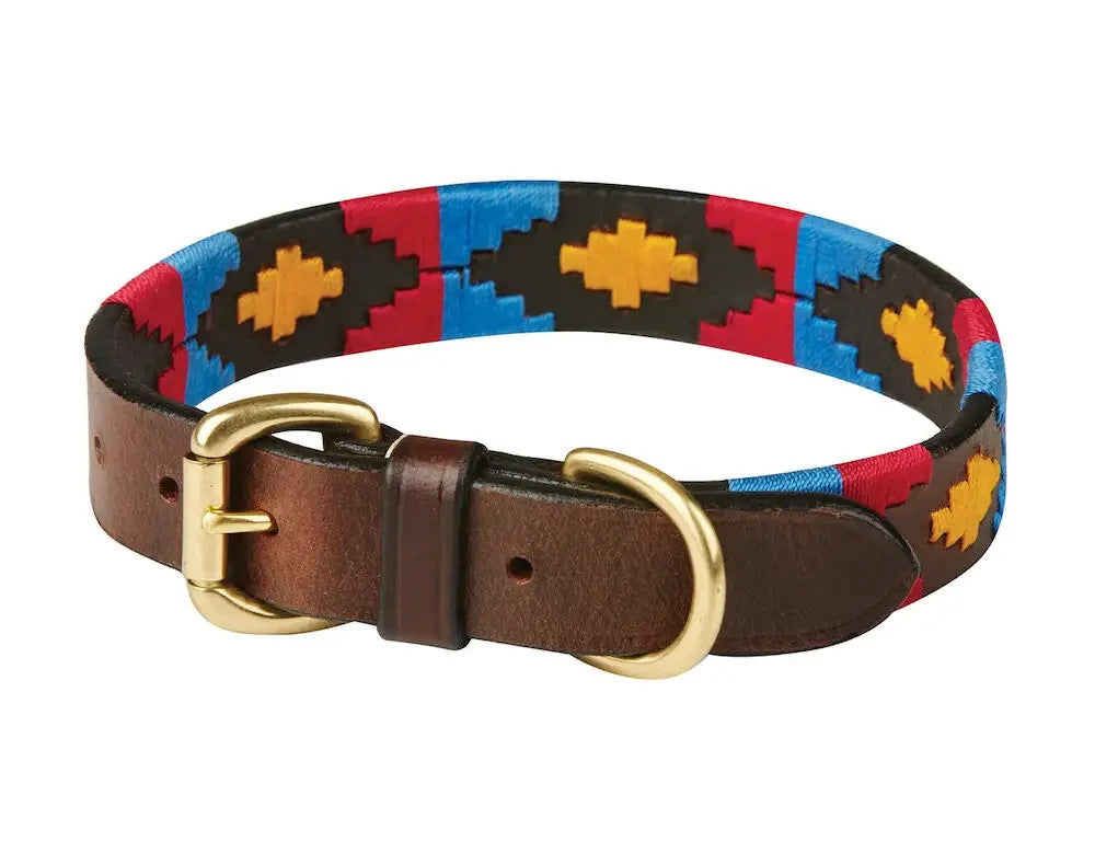Picture of Weatherbeeta Polo Leather Dog Collar, 5 Colours, 6 Sizes