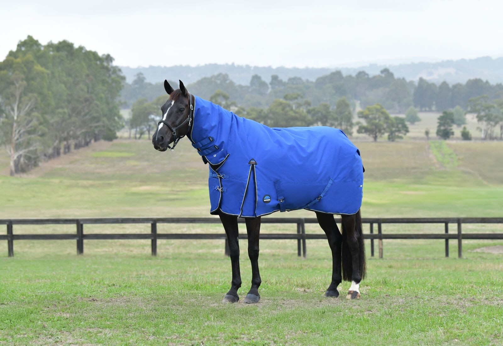 Picture of WEATHERBEETA COMFITEC ESSENTIAL 220G HORSE TURNOUT RUG, FULL NECK COMBO, 1200D