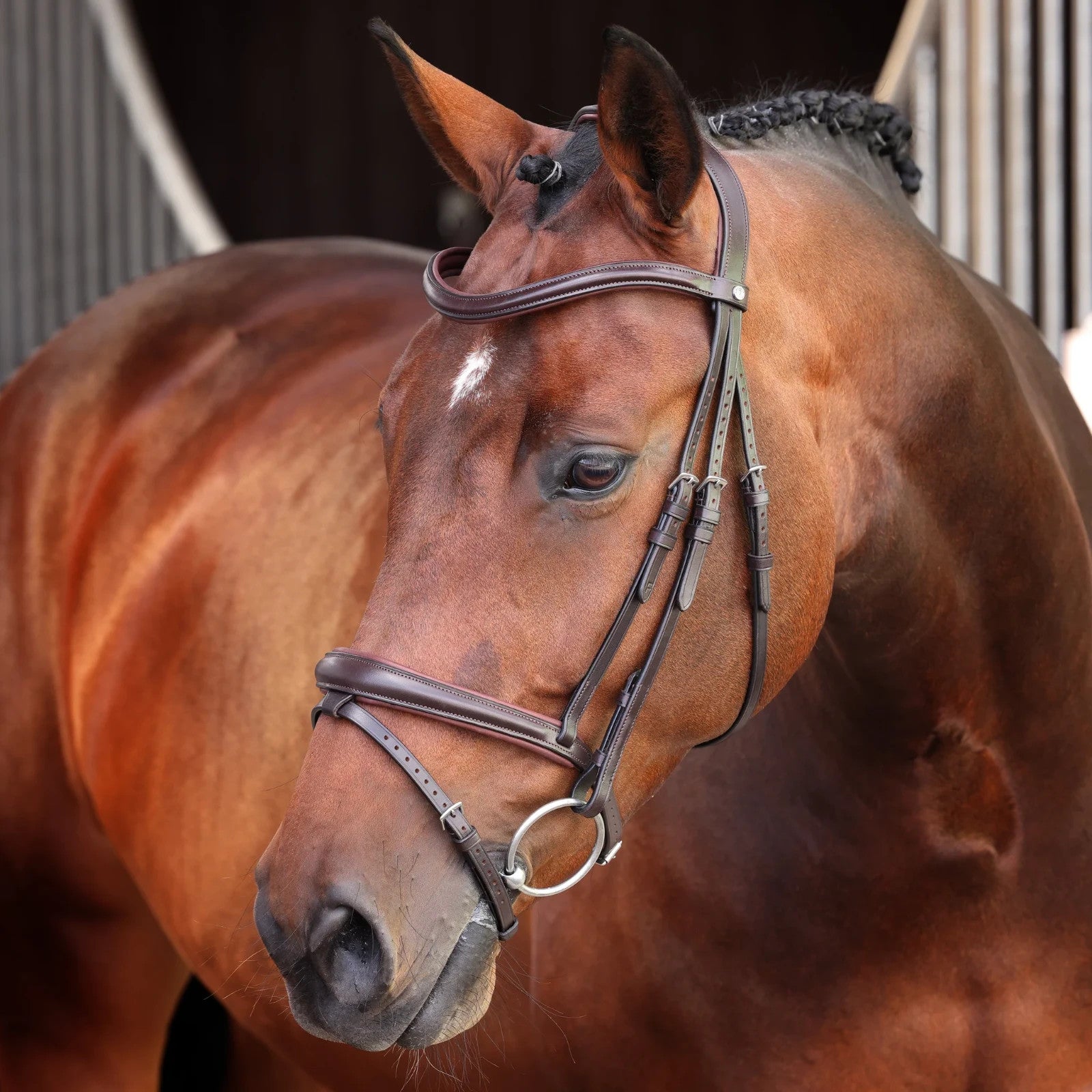 Picture of Shires Velociti LUSSO Elite Padded Raised Flash Bridle, Black / Havana, 4 Sizes