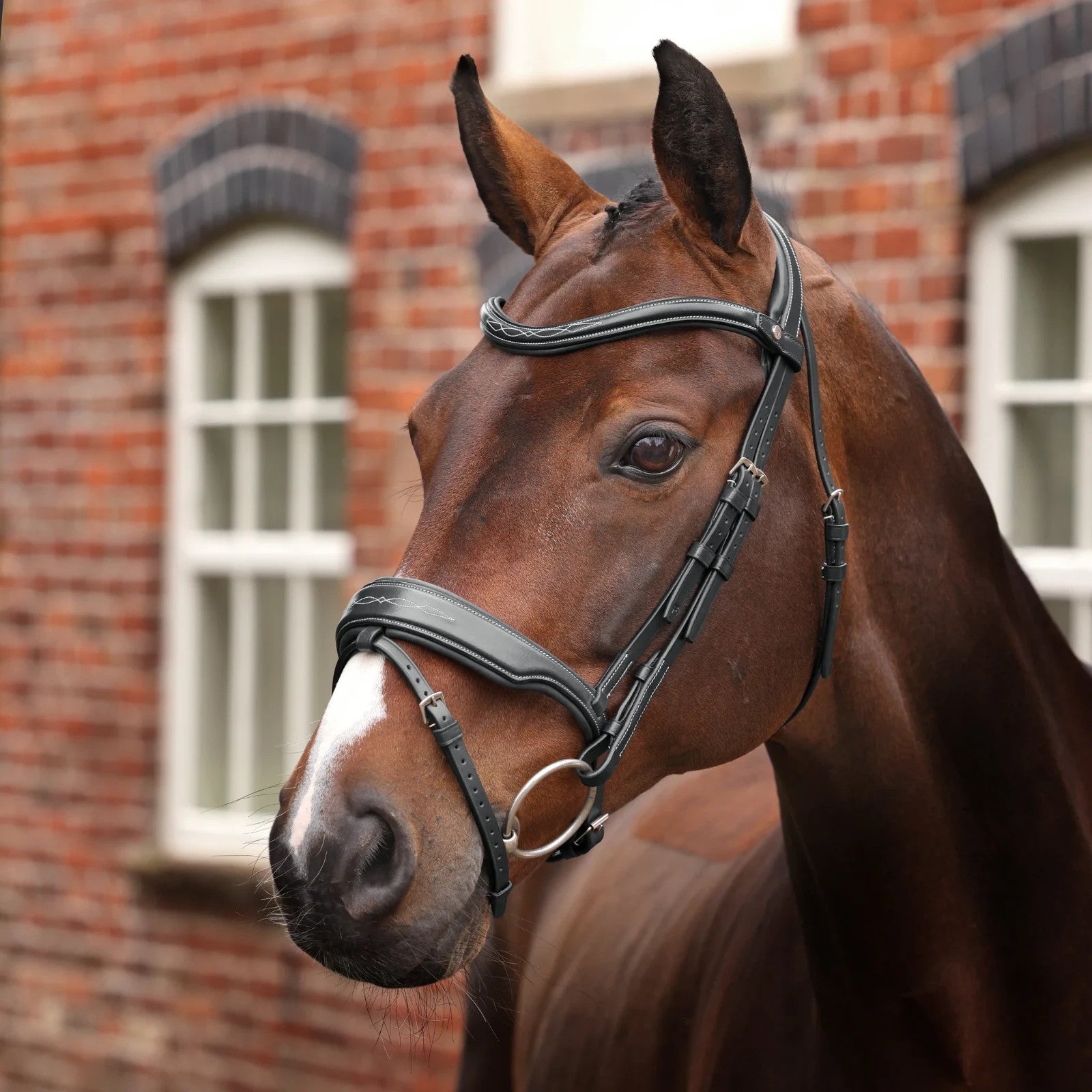 Picture of Shires Velociti LUSSO Opus 180M Dressage Flash Bridle, Black / Havana, 4 Sizes