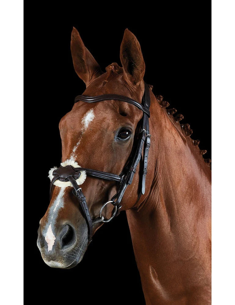 Picture of Collegiate Comfitec Grackle Bridle, Black or Brown, 3 Sizes.
