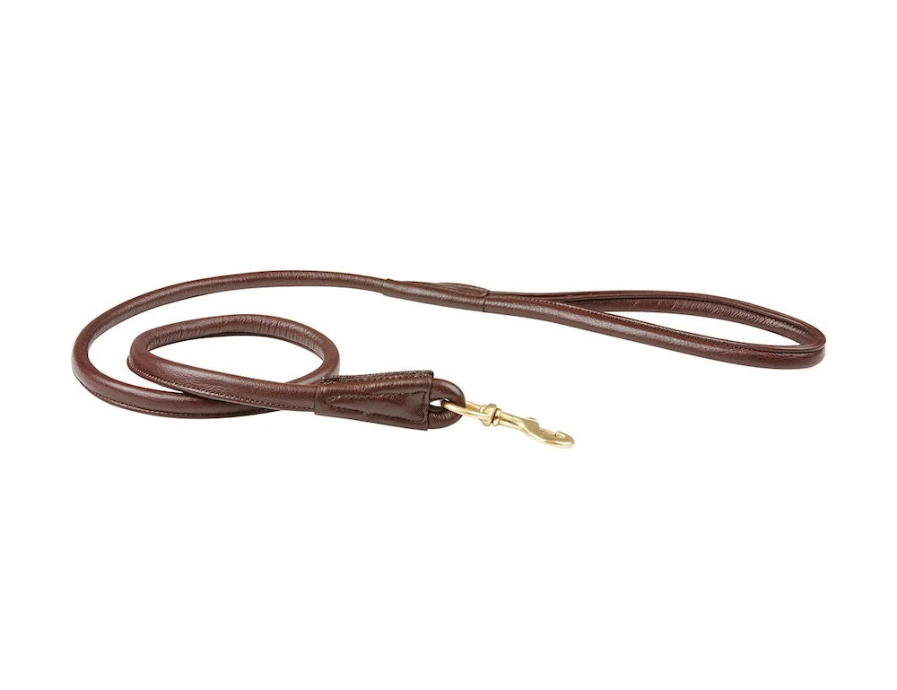 Picture of Weatherbeeta Rolled Leather Dog Lead, 5 Colours.