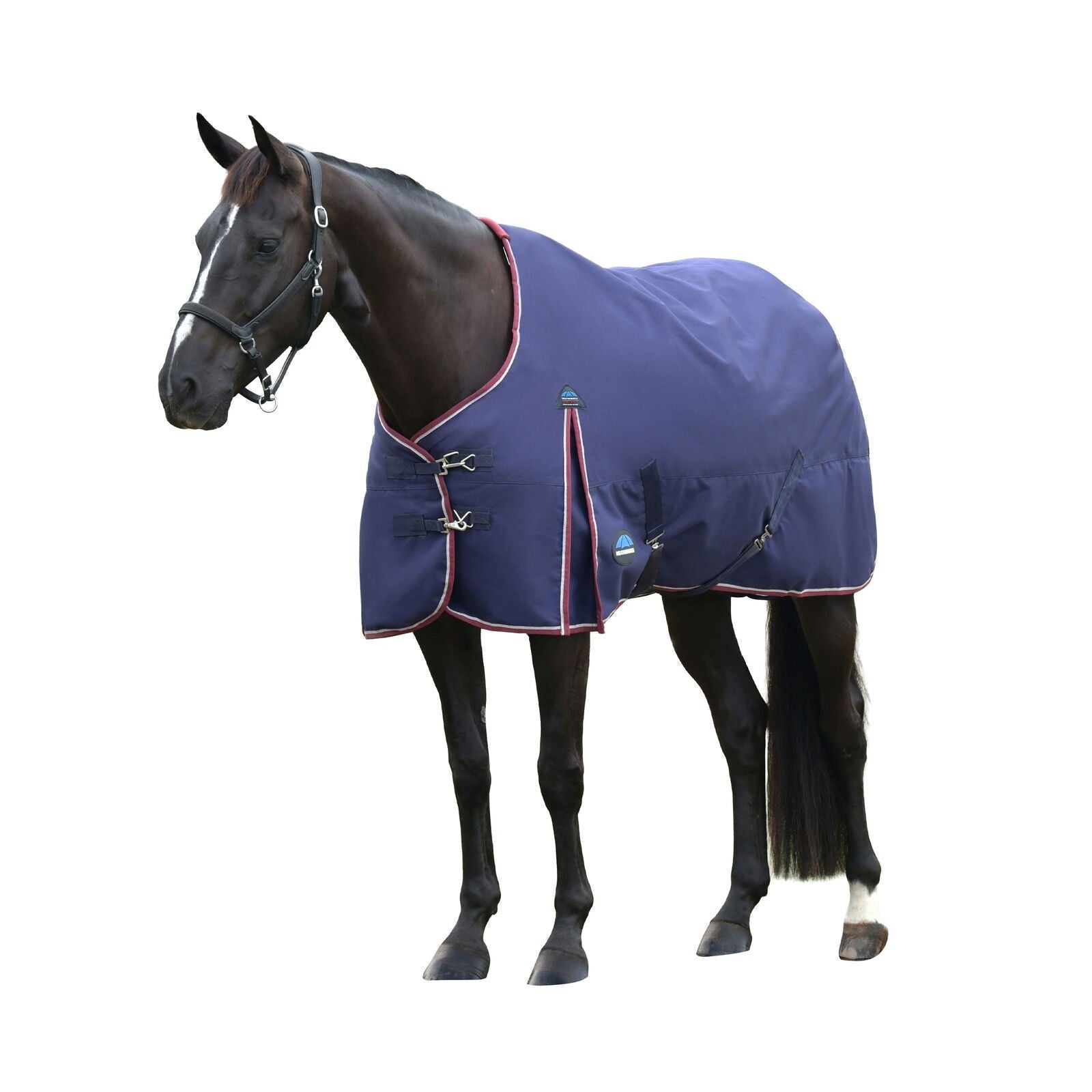 Picture of WEATHERBEETA COMFITEC ESSENTIAL 50G HORSE TURNOUT RUG, STANDARD NECK , 1200D