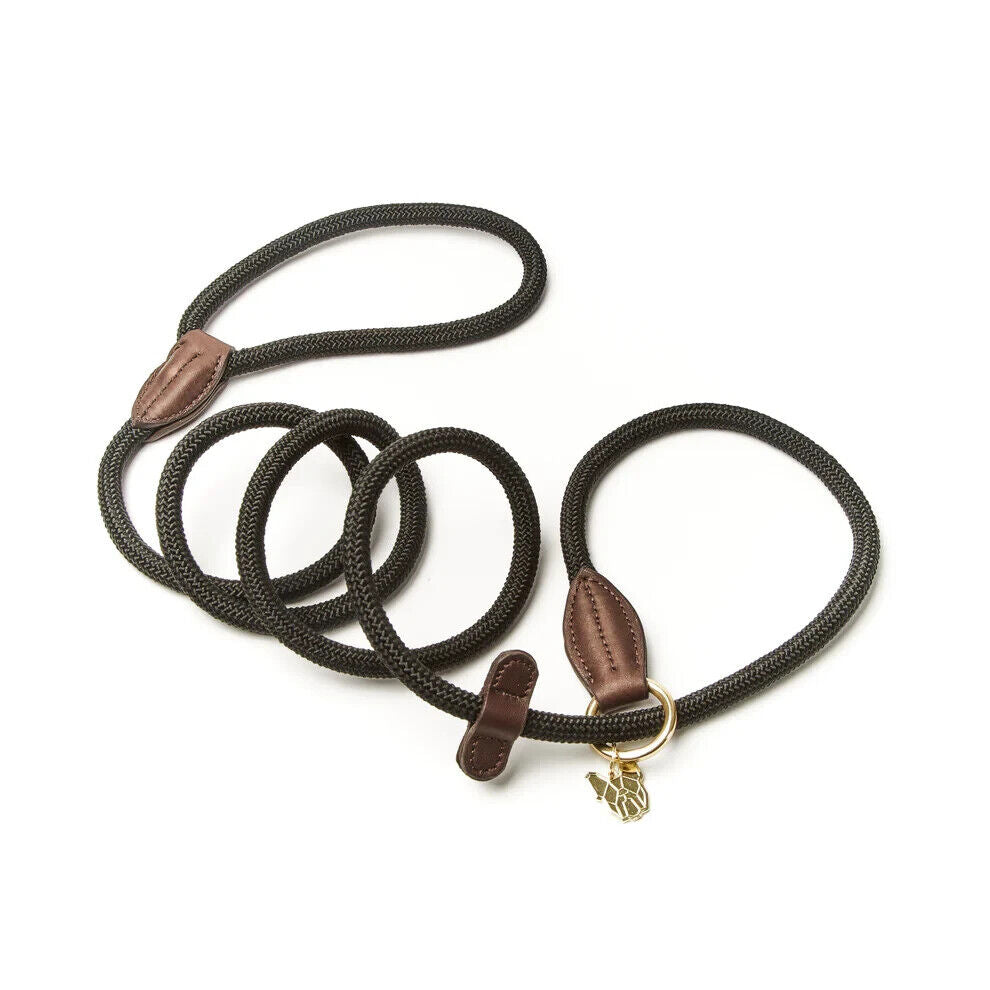 Picture of Digby and Fox Fine Rope Slip Dog Lead, 6  Colours
