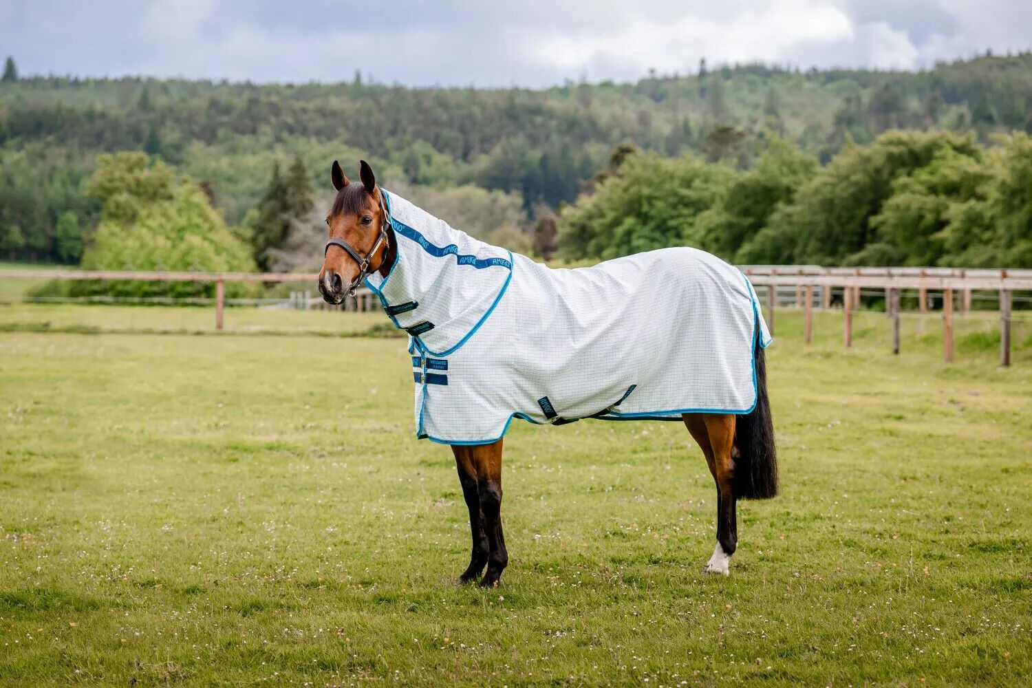 Picture of Horseware Amigo Aussie Allrounder Horse Summer Sheet,  Fly Rug, UV Protection