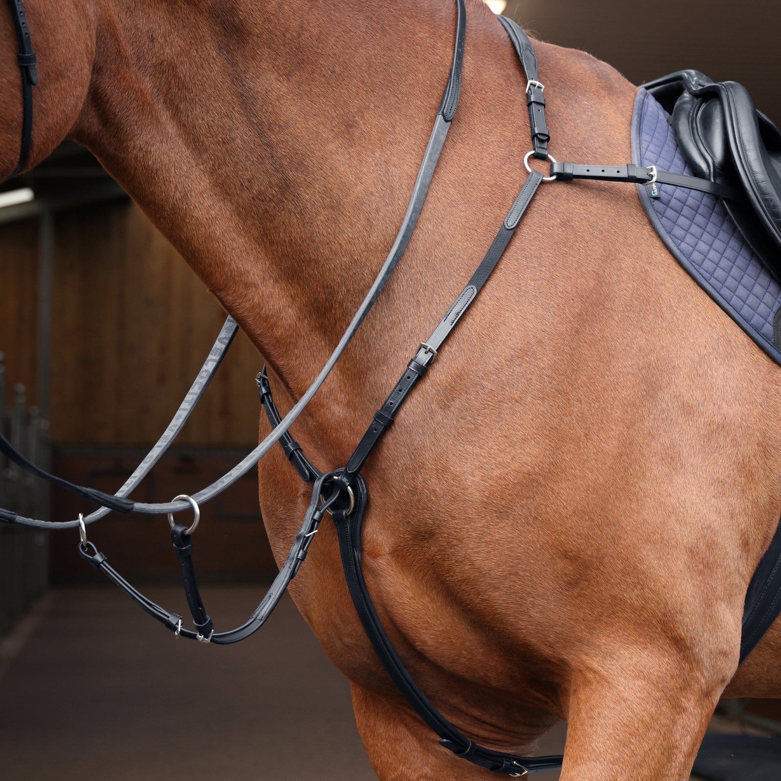 Picture of Shires Velociti Rapida Elastic Breastplate, Black, Havana, 4 Sizes,