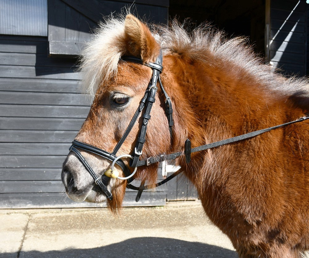 Picture of Windsor Leather Small Pony Flash Bridle(inc Reins), Black