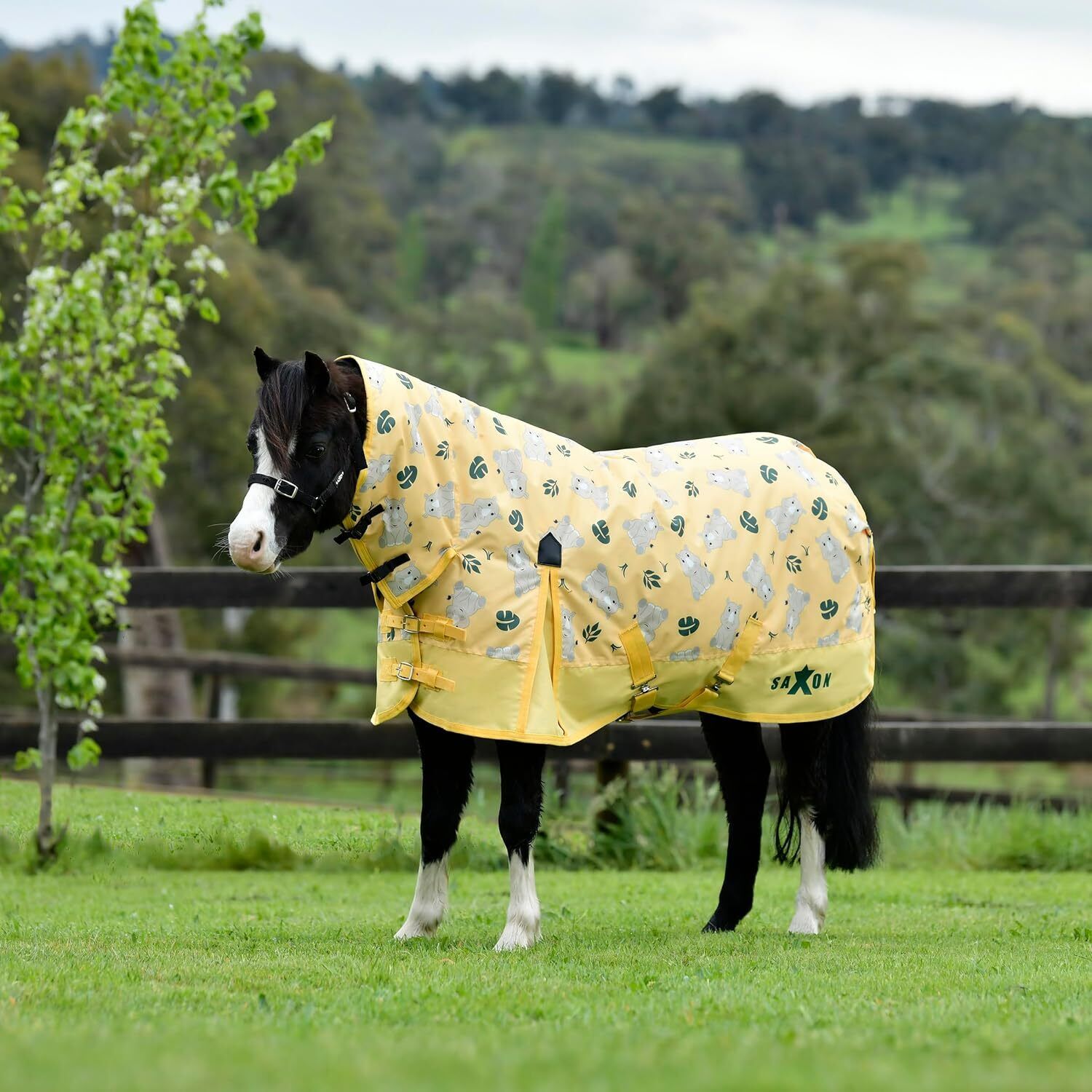 Picture of Saxon 180g Full Neck Combo Pony Turnout Rug,  Mediumweight, Rhino Design