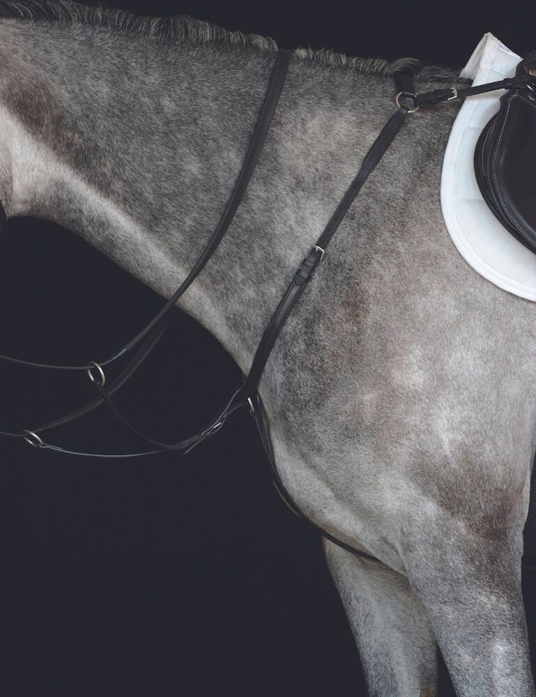 Picture of Collegiate Hunter Breastplate IV, Black, Brown, 3 Sizes.