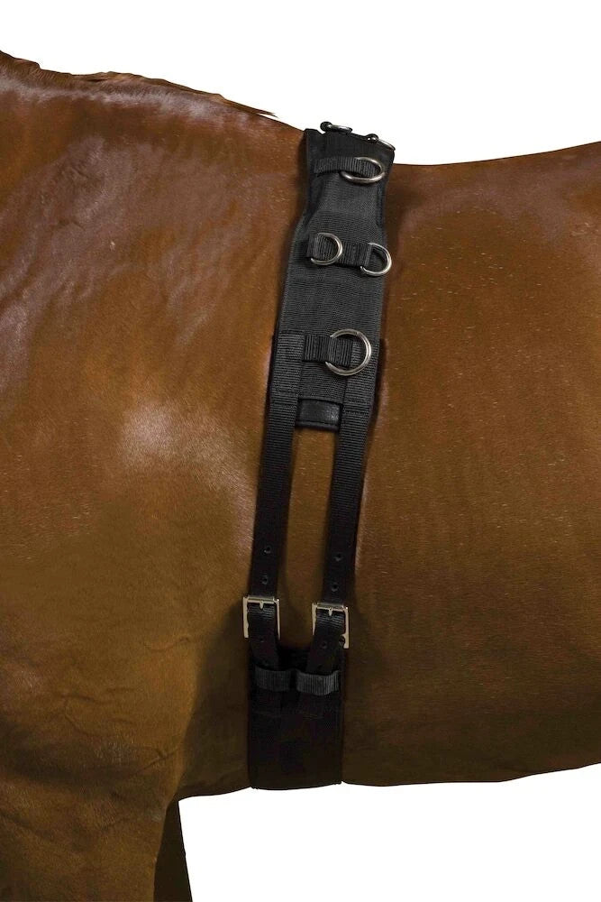 Picture of Weatherbeeta Deluxe Equigrip Lunge Roller