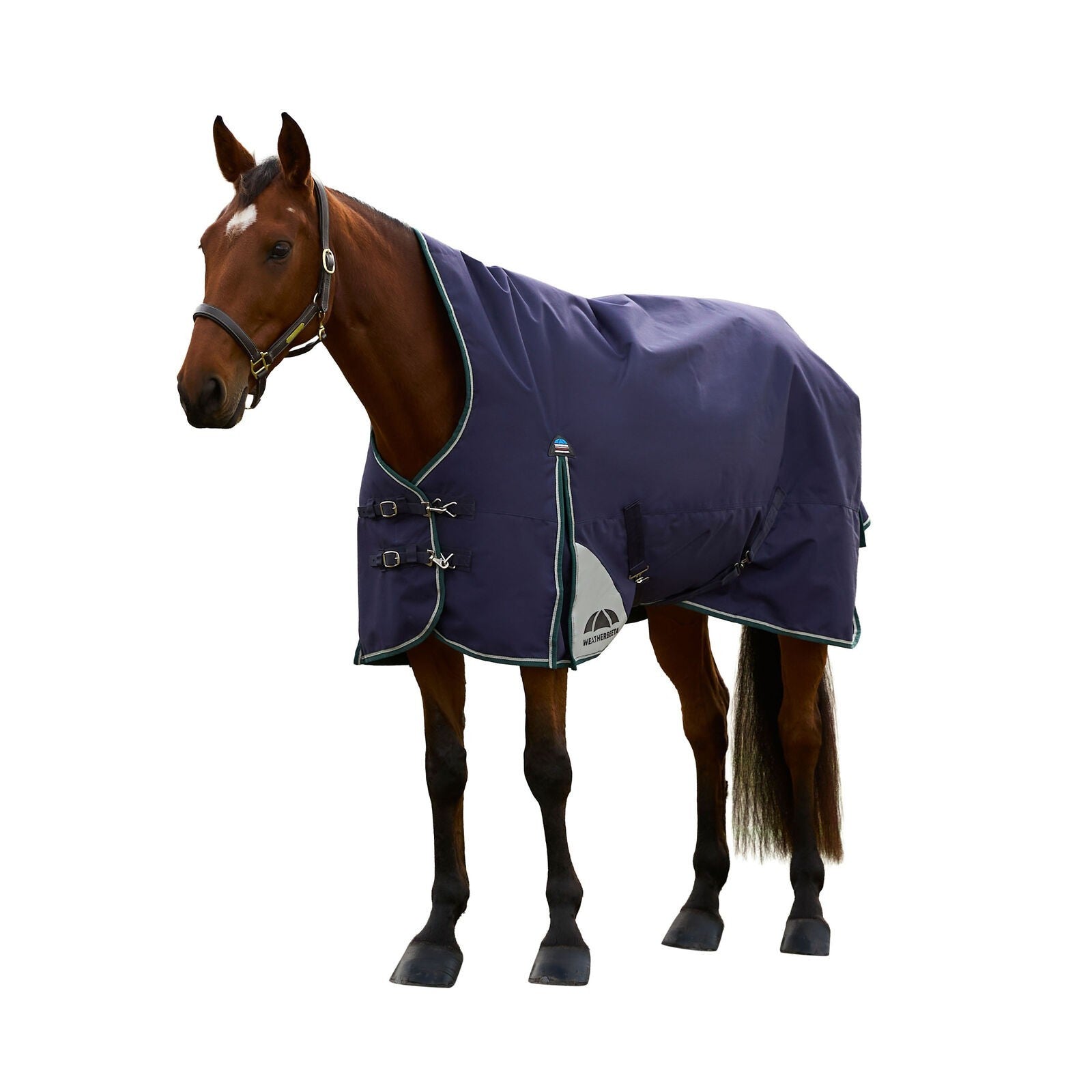 Picture of WEATHERBEETA COMFITEC PLUS DYNAMIC 100G HORSE TURNOUT RUG, HIGH NECK, 1200D