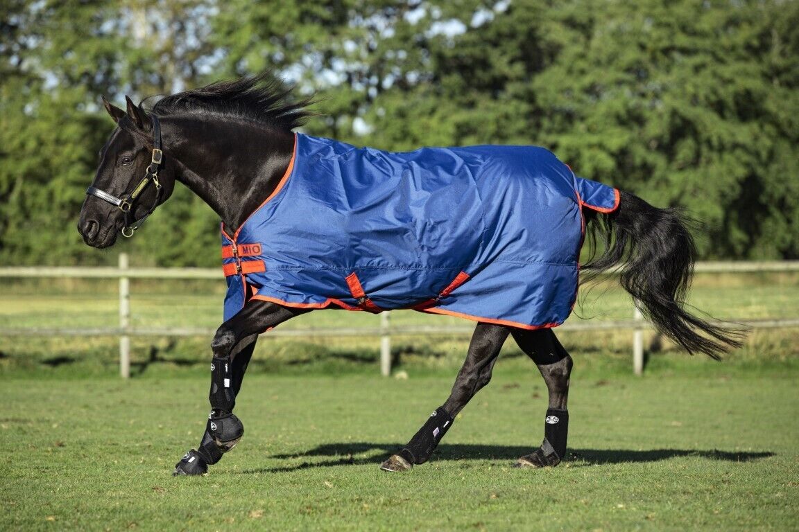 Picture of Horseware Mio Summer Lightweight 0g Horse/Pony Turnout Rug  in Black/Turq