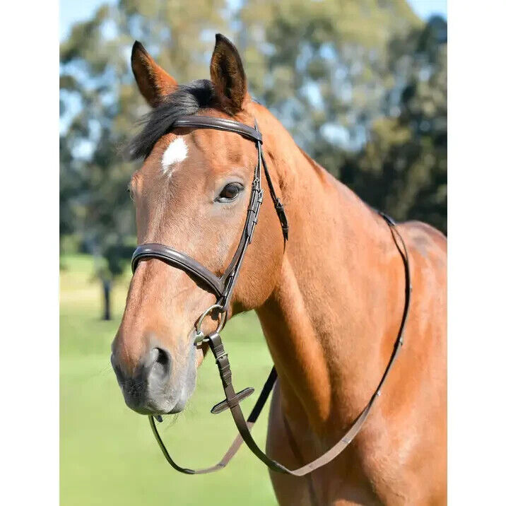 Picture of Kincade Classic Plain Raised Cavesson Bridle With Reins, Leather, Black, Havana