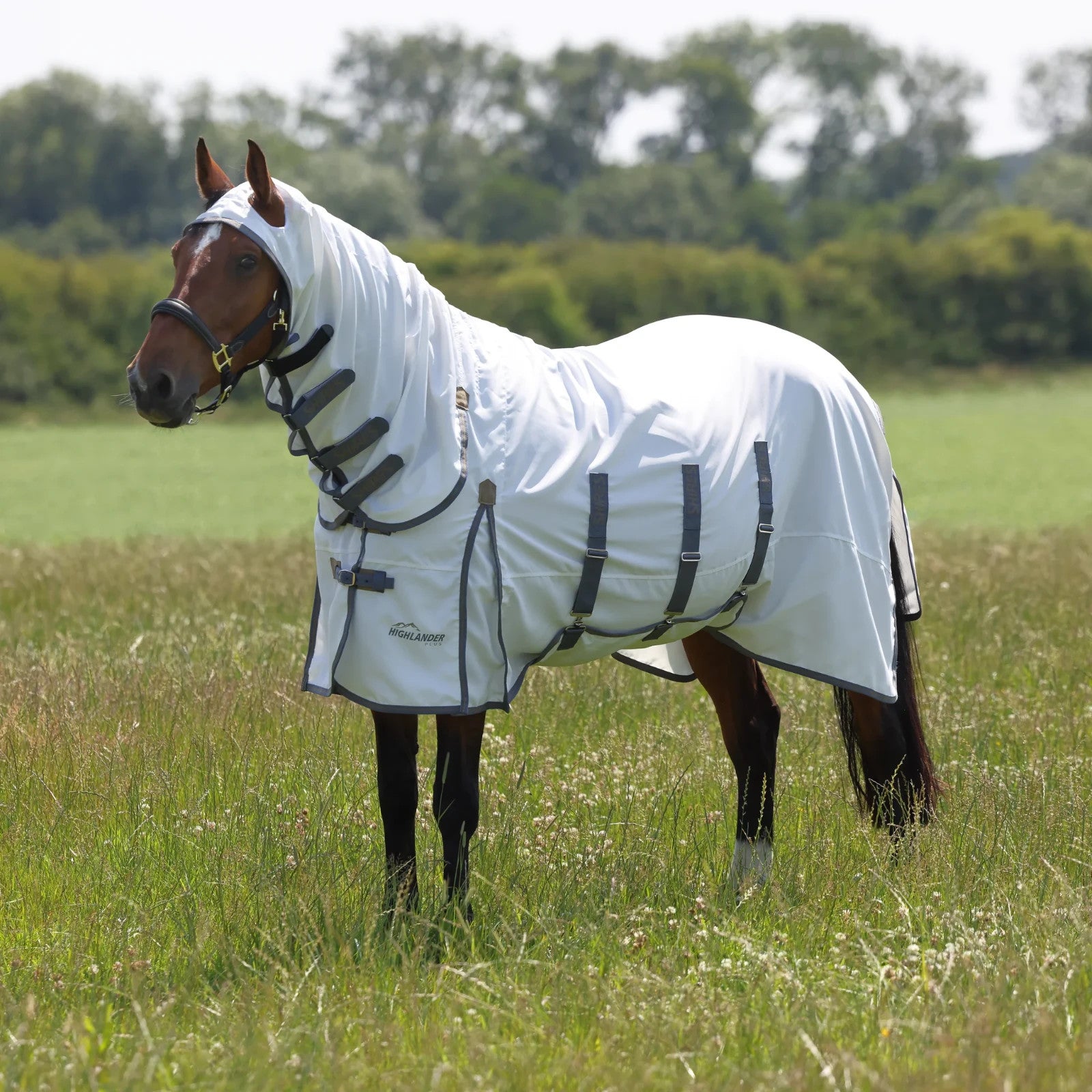 Picture of Shires Highlander Plus Sweet-itch Combo Rug, UV protection, Belly Flap