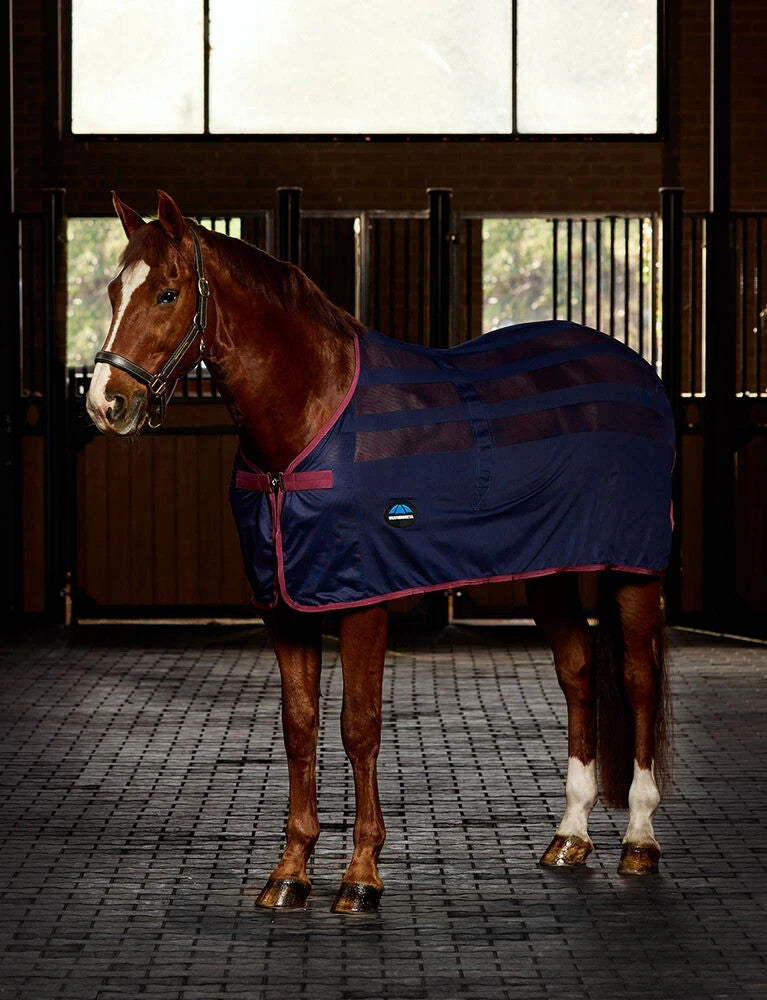 Picture of Weatherbeeta Scrim Cooler Standard Neck / Travel Rug