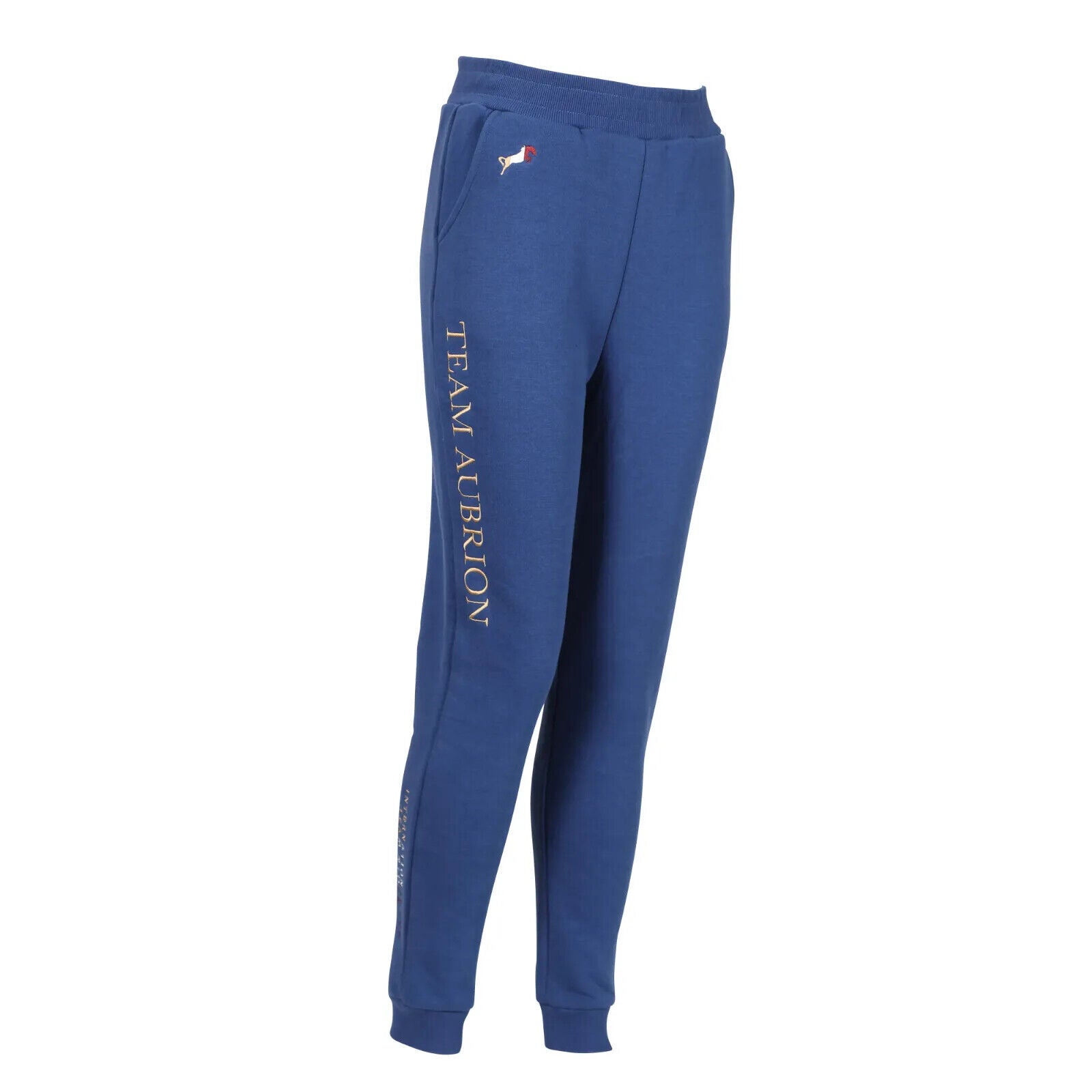 Picture of Shires Aubrion Young Rider Team Joggers , Childs 7-14yrs,  Black, Navy