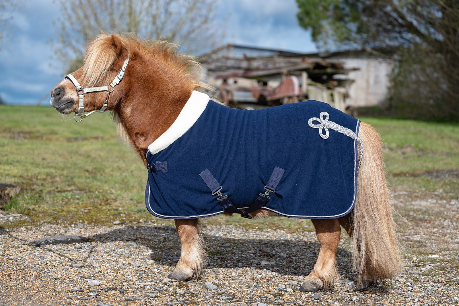 Picture of Rhinegold Mini Show Fleece, Std Neck, 3'6"-4'3"