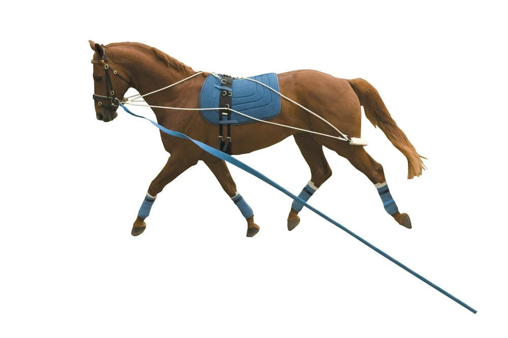 Picture of Weatherbeeta Kincade Horse Lunging Training System