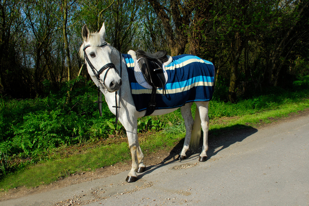 Rhinegold Fleece Ride on Horse Exercise Rug