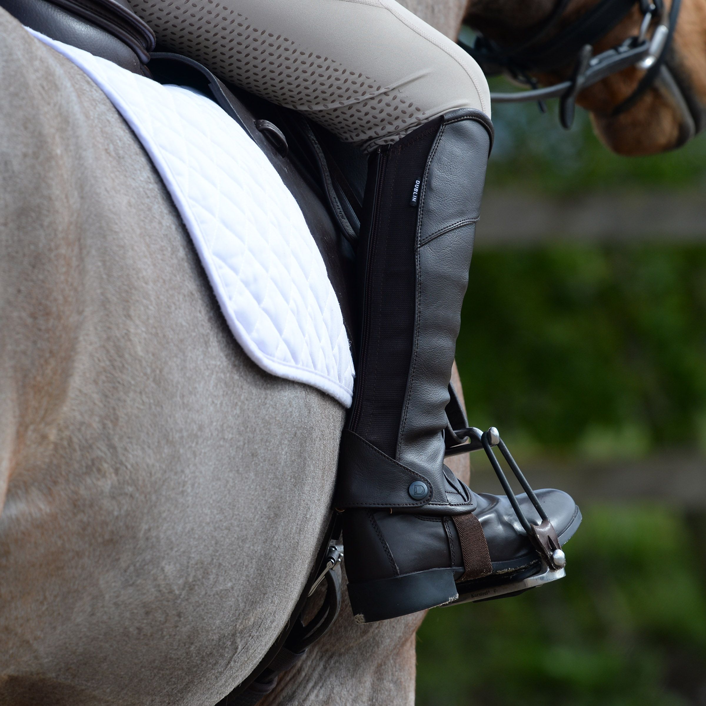 Dublin Stretch Fit Riding Half Chaps, 3 Colours, Adult & Child Sizes,