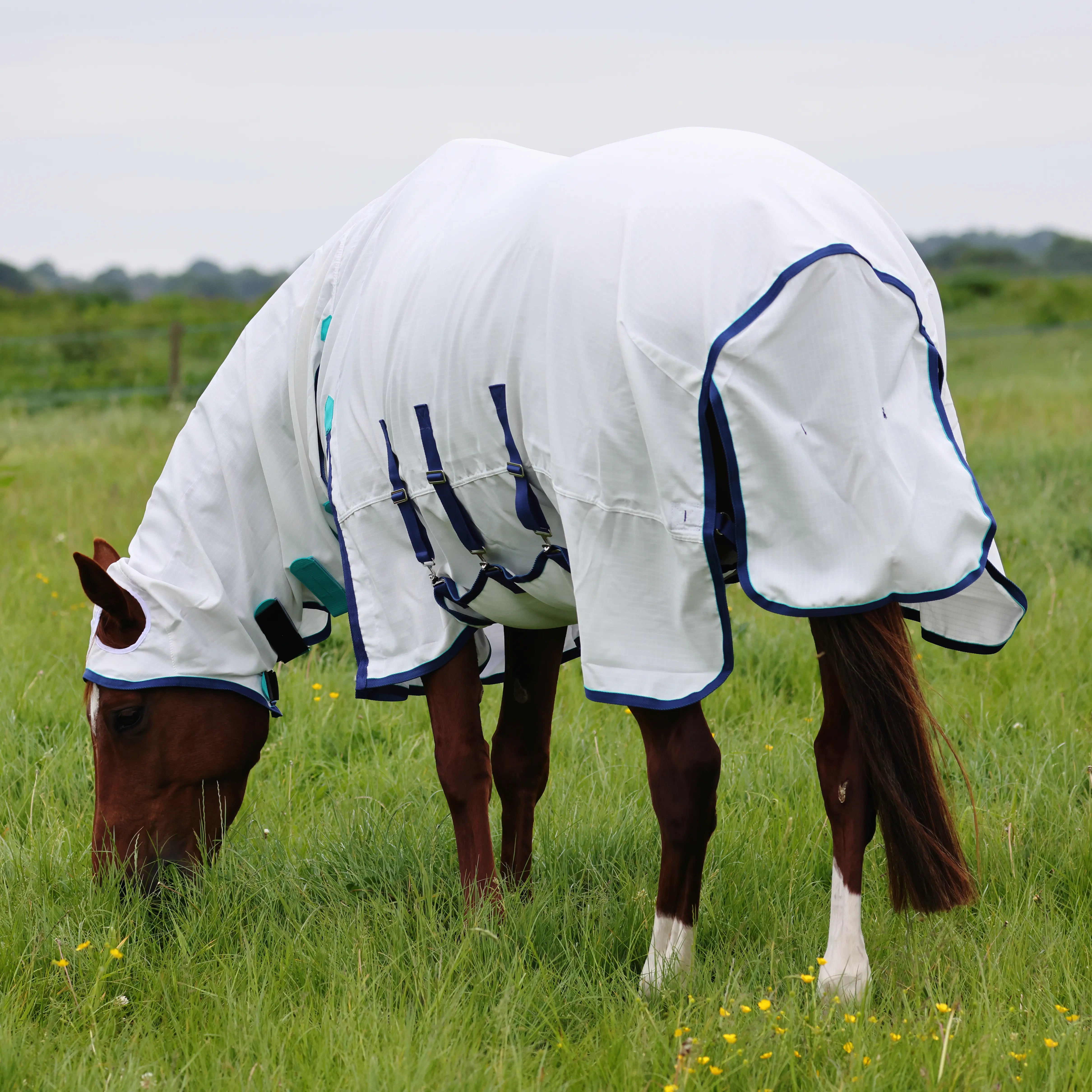 Shires Highlander Plus Sweet-Itch Combo Fly Horse Rug, Belly Flap, 4'0"-7'3"