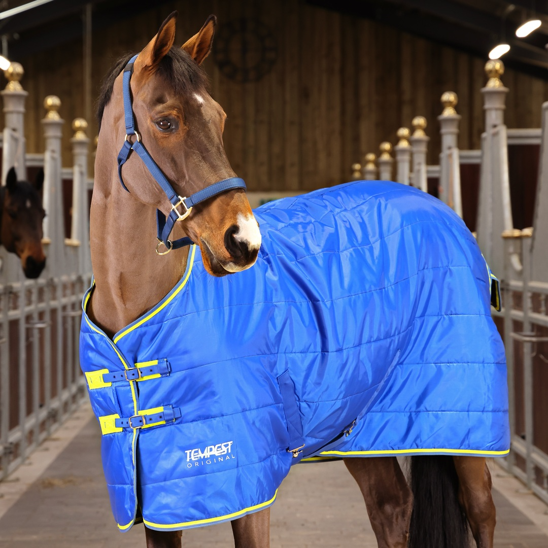 Shires Tempest Original 100g Horse Stable Rug