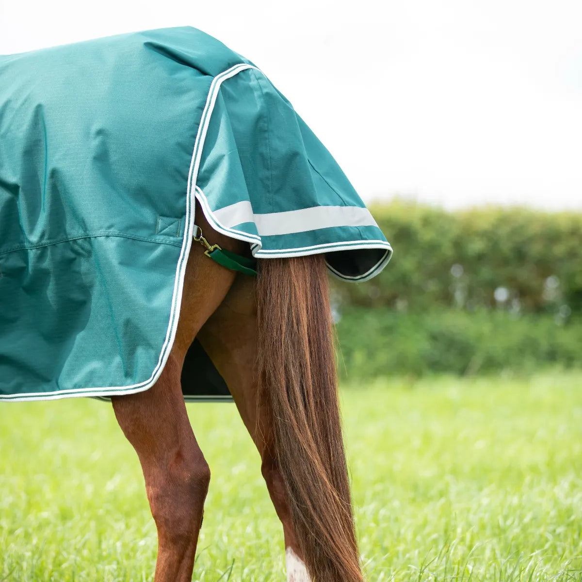 Shires Highlander Original 300g Horse/Pony Turnout Rug