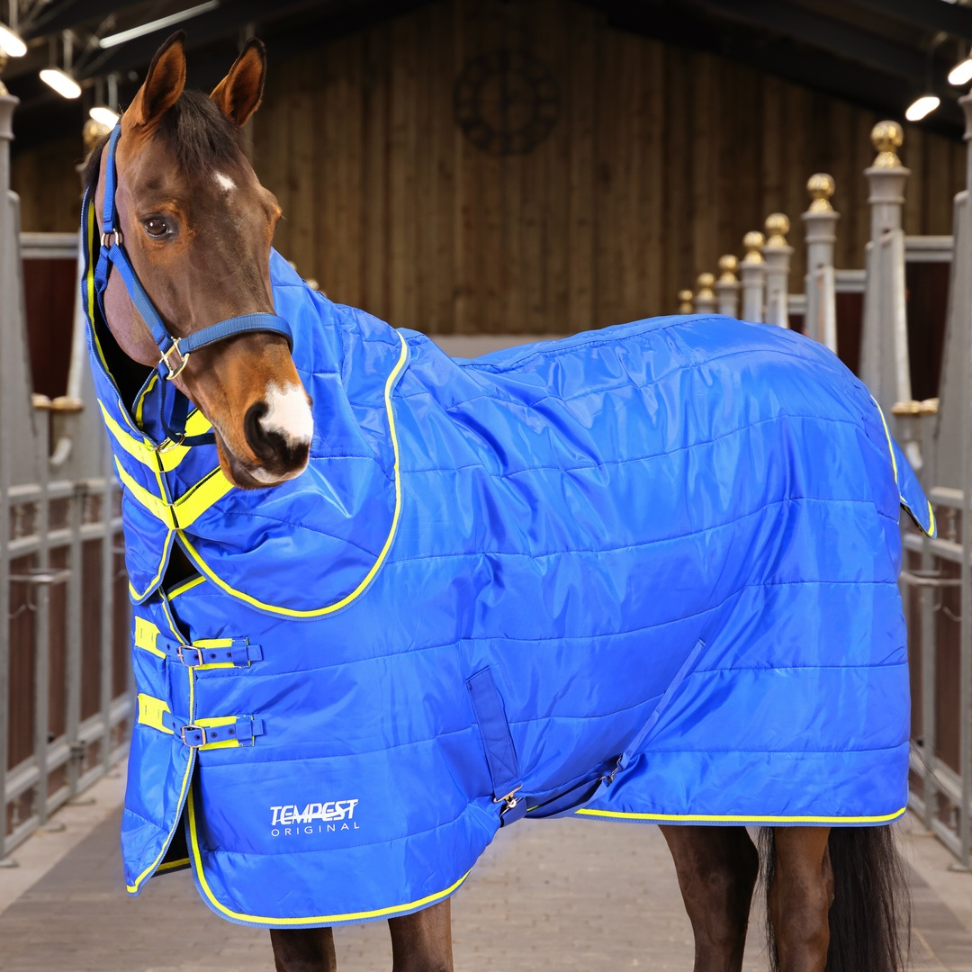 Shires Tempest Original 100G Horse Stable Rug & Neck Set