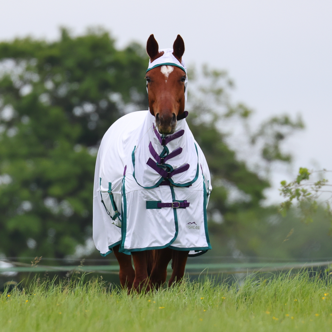 Shires Highlander Plus Full Neck Combo Fly Horse Rug Sheet
