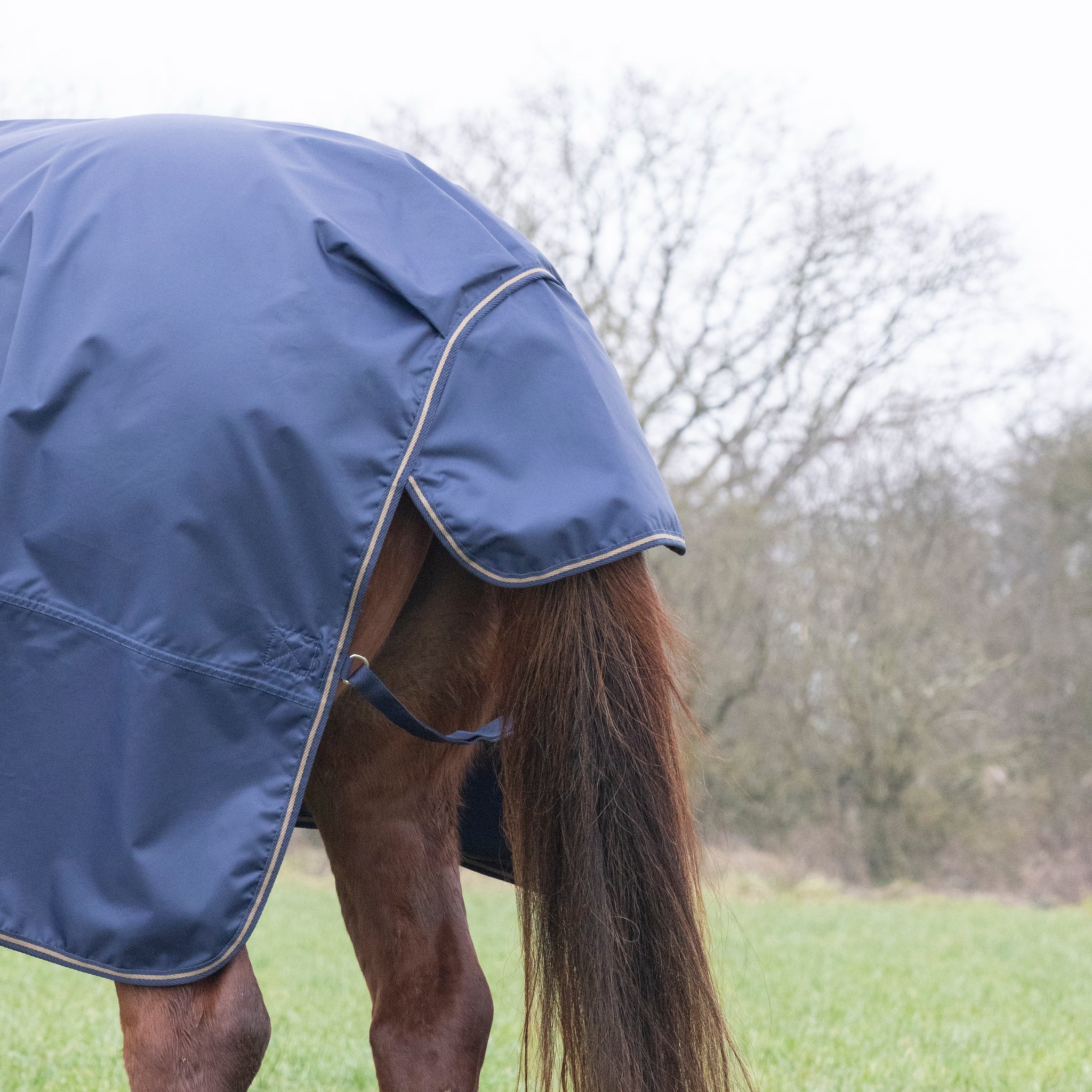 Shires Typhoon Lite No Fill 0G Lightweight Horse/Pony Turnout Rug, Navy or Green