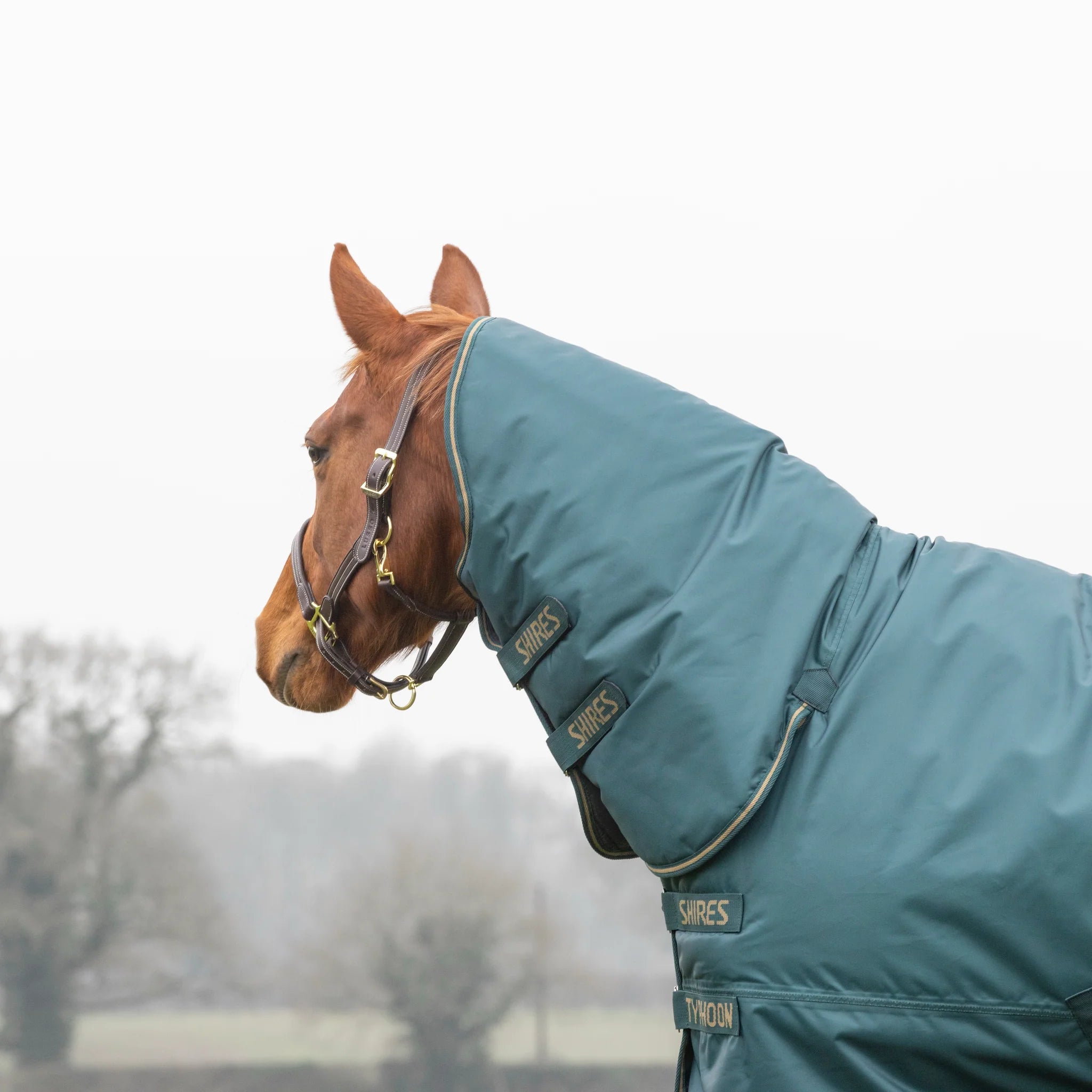 Shires Typhoon 200G Full Neck Combo Mediumweight Horse/Pony Turnout Rug,