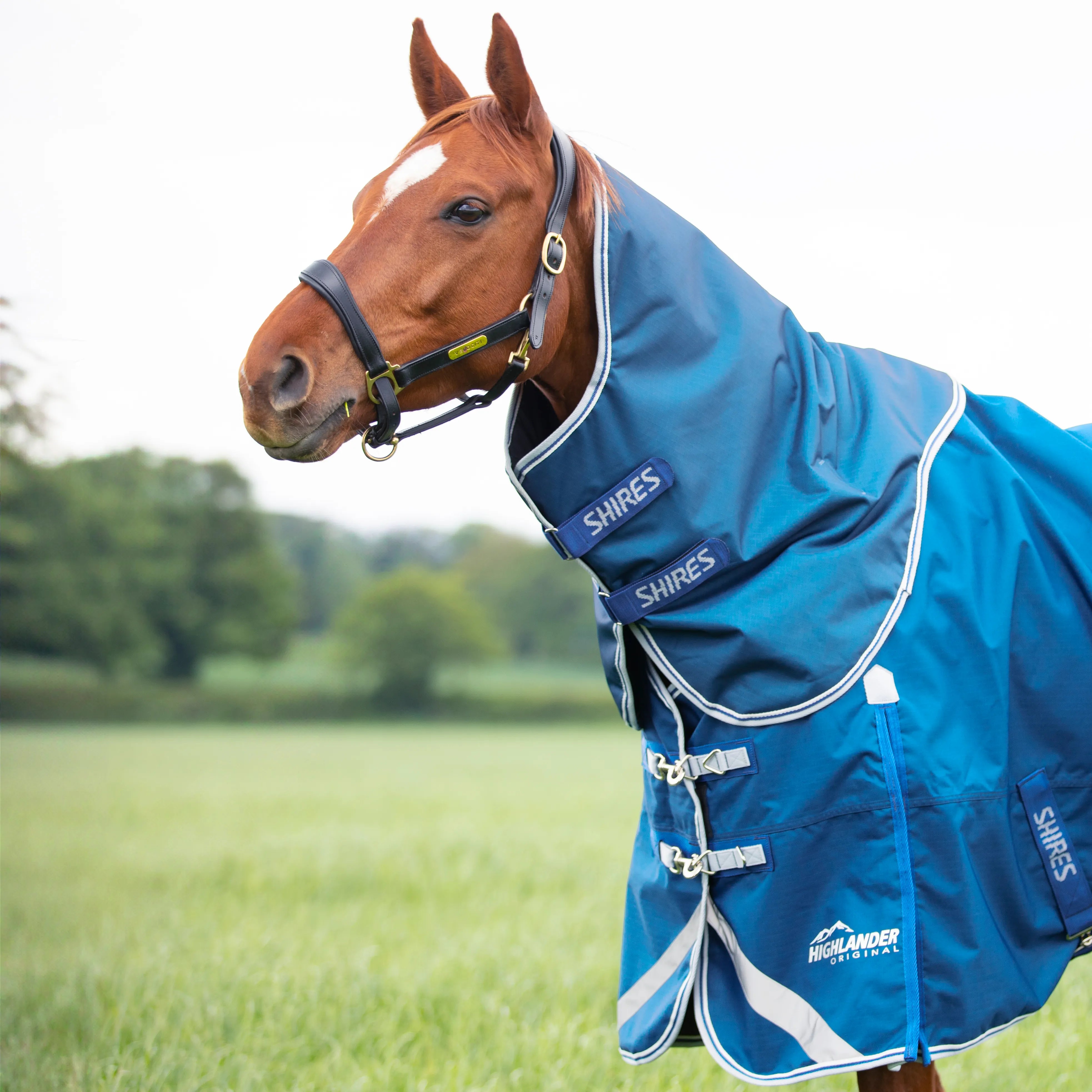 Shires Highlander 200g Horse/Pony Turnout Rug & Neck Set, Detachable Neck, Blue