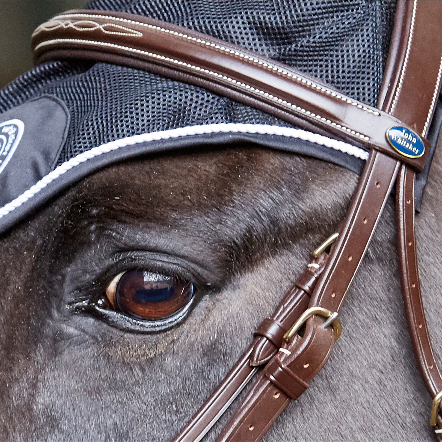 Whitaker Valencia Super Deluxe Mexican/Grackle Bridle with Reins, 2 Colours