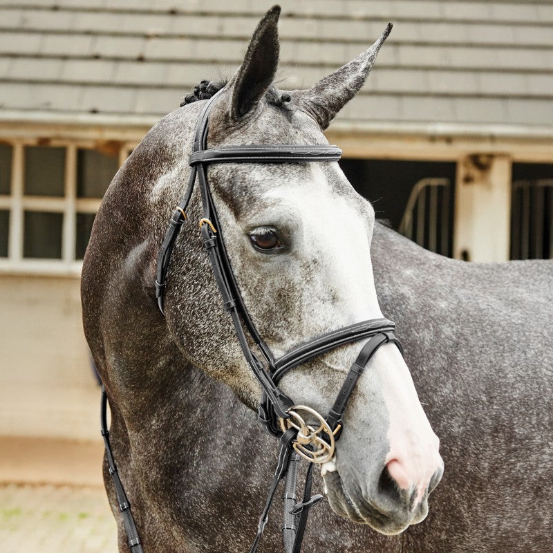 Whitaker Valencia Super Deluxe Flash Snaffle Bridle with Reins , 2 Colours