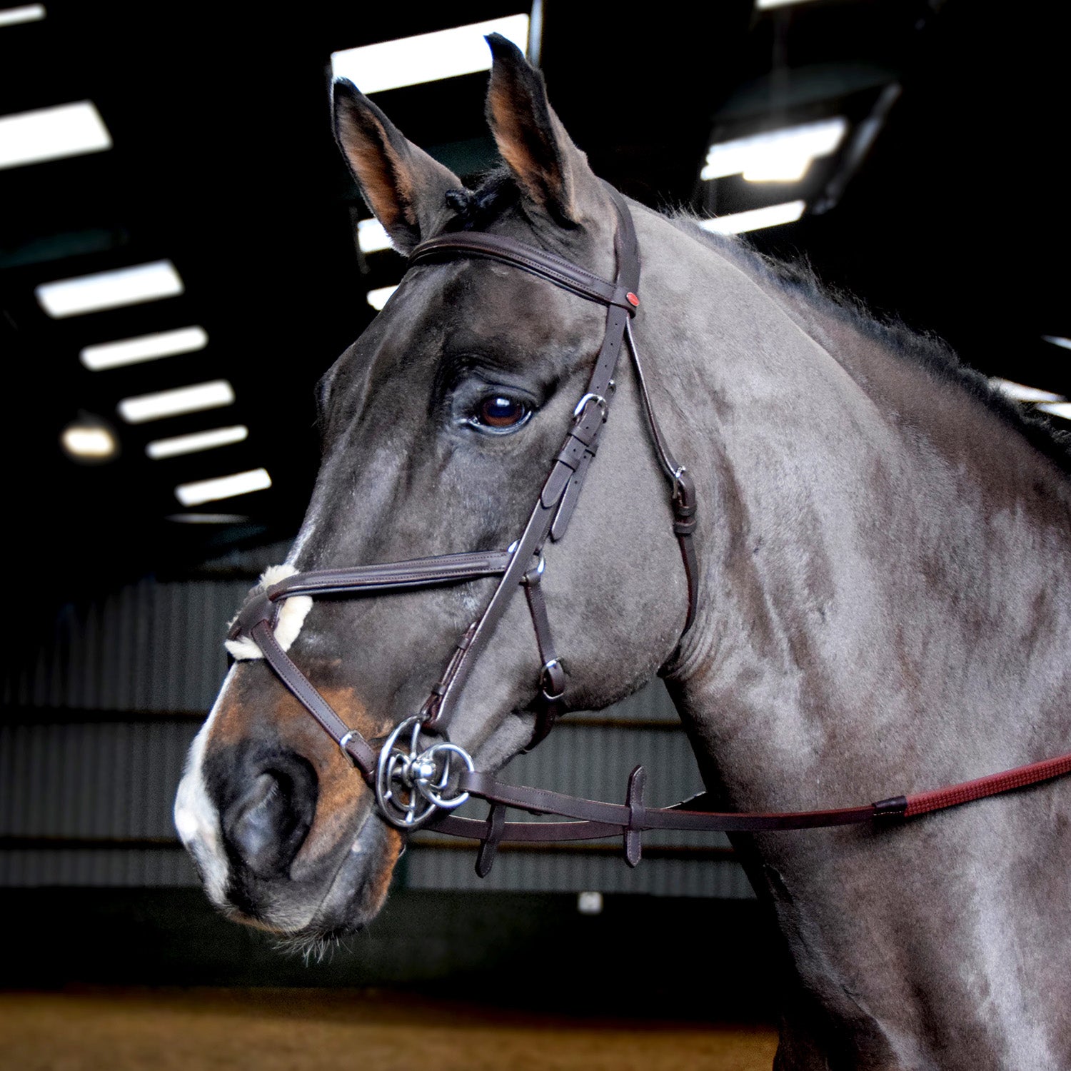 Whitaker Ready to Ride Mexican / Grackle Bridle , 2 Colours, 4 Sizes
