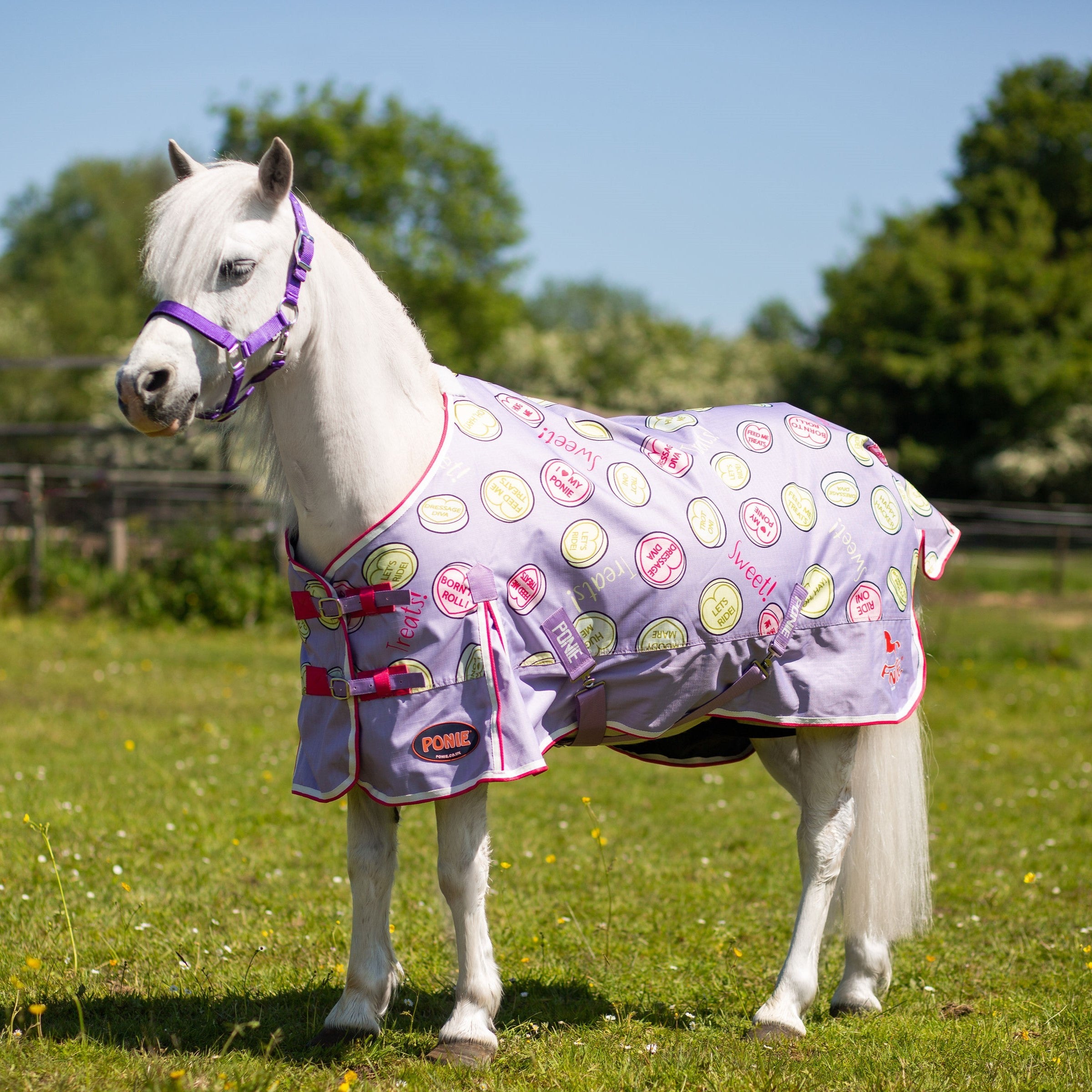 Gallop Trojan Sweet Treats Lightweight 0g Standard Neck Horse Turnout Rug