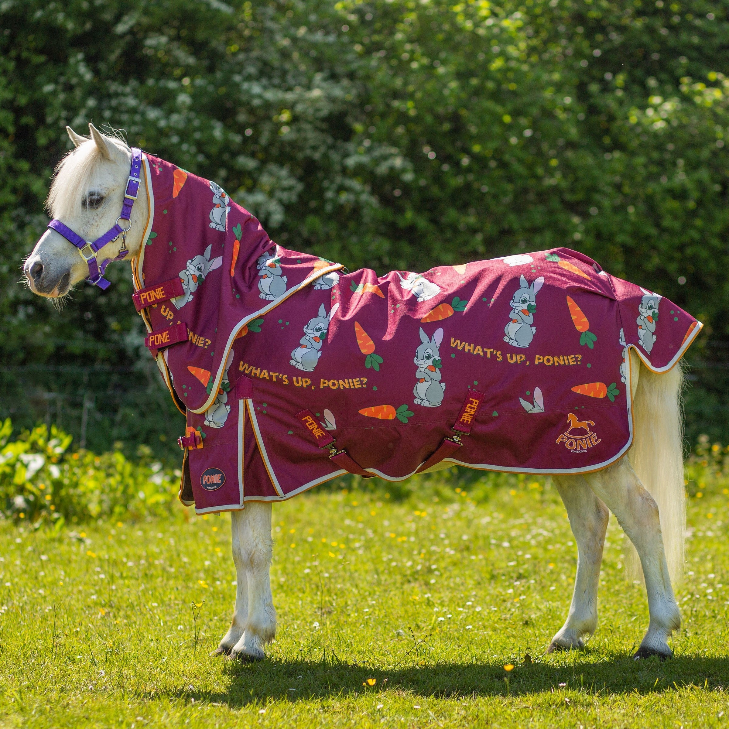 Gallop Trojan Bunnies and Carrots 50g Dual Horse Rug & 5-Point Neck Turnout Set