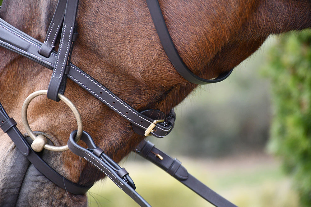Rhinegold Elegance Wide Stitch Anatomical Leather Bridle,  2 Colours, 4 Sizes